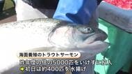 【初水揚げ】ビチビチと威勢よく！海面養殖”トラウトサーモン”400匹―順調に生育した魚も…水産関係者は「期待したい」全国的にも珍しい真夏に実証実験〈北海道根室市〉
