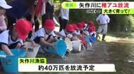 今年は約40万匹を予定…愛知県豊田市の矢作川で子供達が稚アユを放流 バケツを使って22人で約4000匹