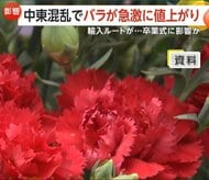 「長引いたらやばい」中東情勢が卒業式のバラを直撃…新入生制服が原油高騰で値上げも　重油不足で露天風呂休止の温浴施設