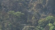 広島・福山市の山林火災15ヘクタール焼け鎮火のめど立たず　ヘリ2機消防車35台出動し消火活動続く