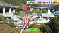四国でも有数のお茶の産地・愛媛県四国中央市の新宮でお茶の魅力を堪能　穴場のパワースポットも！【愛媛発】