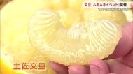 まるで宝石箱！高知の冬の味覚・文旦の“ムキムキイベント”開催