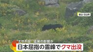 登山客の“至近距離”でエサ探し…立山でクマの出没相次ぐ　「猛暑で“エサ不足”遭遇の可能性高まる」専門家が指摘