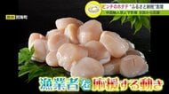 北海道産ホタテ “中国禁輸”で大ピンチ…しかし“ふるさと納税”急増「国内で流通させて！」応援メッセージも