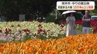 色とりどり15万本のユリ咲き誇る　坂井市「ゆりの里公園」で見頃　6月30日までフェスタ開催　福井