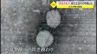 「ちょっとしたほころびで感染拡大」沖縄の新たな流行 過去最大の懸念も