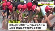 小学生が育てた苗を田植え どろんこリレーも【佐賀県】