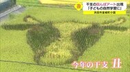 干支田んぼアートが出現し話題に 今年の干支は何だった?(島根県・浜田市)