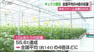 ゆめファーム全農SAGA 運用開始1年目は全国平均の約4倍の収穫量…