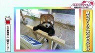 みつけタグラム 魅力づくりに欠かせない…何見てんのよ【愛媛】
