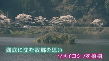 美しかったふるさとを忘れないように…ダム湖に沈んだ集落の住民らが桜を植樹