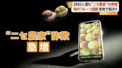 「これはもう詐欺やな」桃1箱15個入り1500円…SNSで急増する“ニセ農家”詐欺　実在農園の名前悪用も　格安フルーツ販売に注意