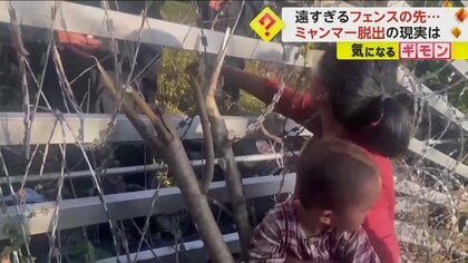「中に入れてください！」ミャンマーからの避難民が中国との国境で必死の訴え　中国は国境封鎖の演習実施