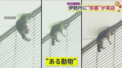 駅前の百貨店にアライグマ！SNSに投稿多数　10年前はほぼなかったが…現在は年間数十匹を捕獲　東京・立川市