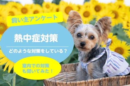 【愛犬の熱中症対策に関するアンケート調査】飼い主138名を調査