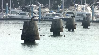 海から突き出た約400本の“謎物体” 撤去費は1本数百万円 日本経済を支えた産業の遺物【静岡市清水区・折戸湾】