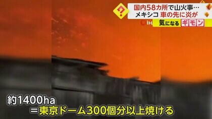 不気味に燃え続ける山　メキシコ国内58カ所で“山火事”発生　東京ドーム300個分以上の森林が焼ける
