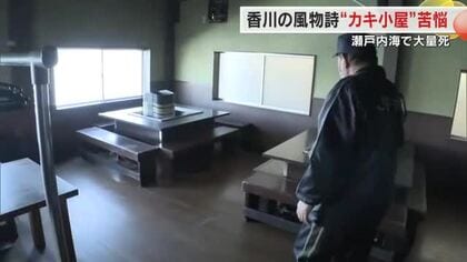 「あしたから飯が食えない」東讃の冬の風物詩・カキ小屋も営業できず「養殖カキ大量死問題」の影響【香川】