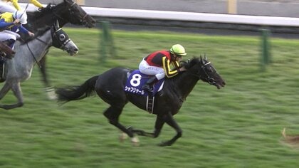 【ジャパンC・注目7頭】日本馬vs外国馬 威信をかけた真っ向勝負！シャフリヤール一口馬主・山本昌情報とDAIGOイチオシ馬