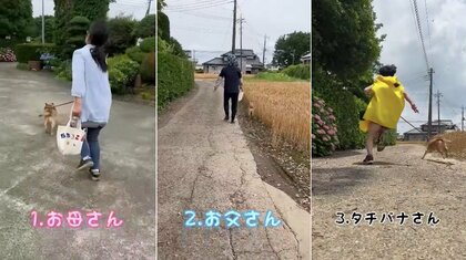 「もはや散歩じゃない」自分より“順位が下”の家族には猛ダッシュする犬…なぜこんなに差があるのか聞いた