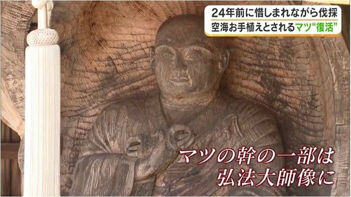 幹の一部で彫られた弘法大師像