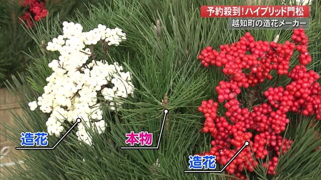 ハイブリッド門松をよく見ると…