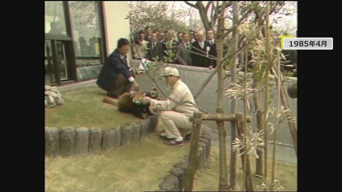 1985年の開園当時