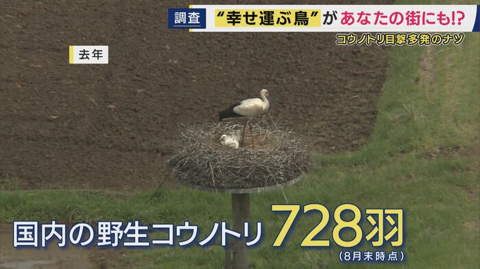 2005年から放鳥