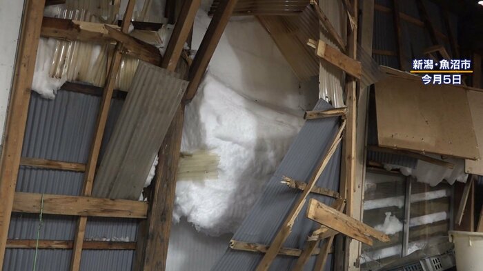 5日撮影　建物内部・壁面の柱が折れ曲がり雪が入ってきている