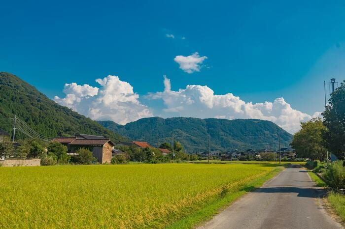 鳥取県鳥取市(2024年9月撮影)