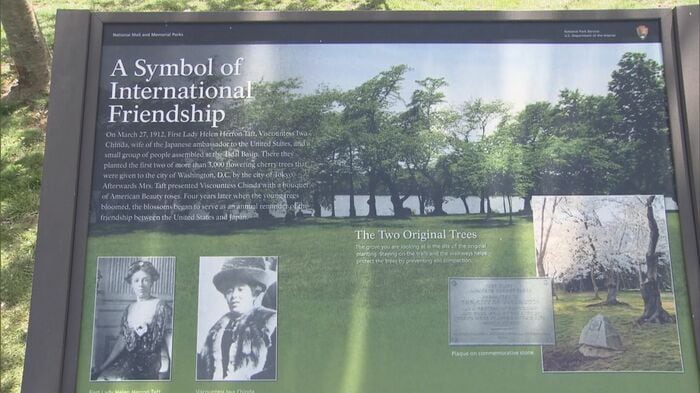 ポトマック公園には桜が日米の友好の証であることを記載した案内板が設置されている