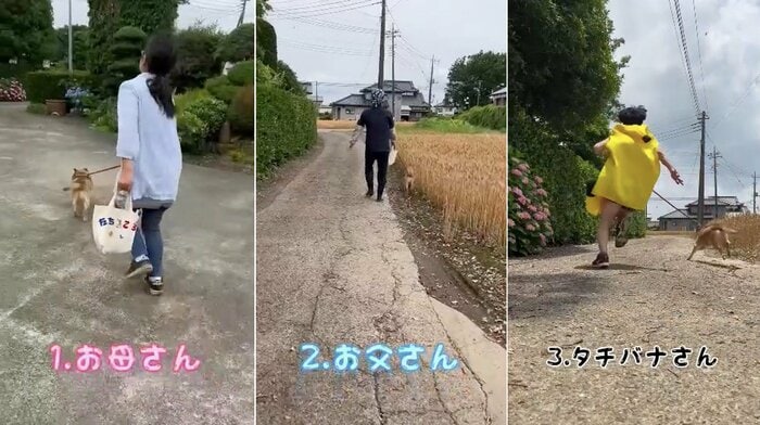 提供:タチバナさんの毎日ルーティン