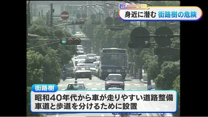 街路樹を設置する理由