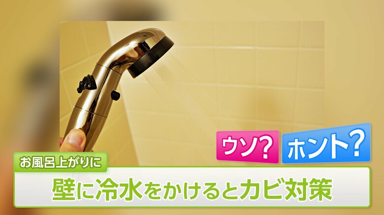 【梅雨前に…】お風呂場カビ対策の疑問「壁に冷水をかける」「ドアを開けて換気」はウソ？ホント？｜FNNプライムオンライン