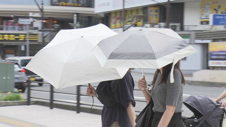 「蒸し暑い」上田、佐久、飯山は30℃超の「真夏日」　あす17日は全県でさらに気温上がる見込み　熱中症に注意を｜FNNプライムオンライン