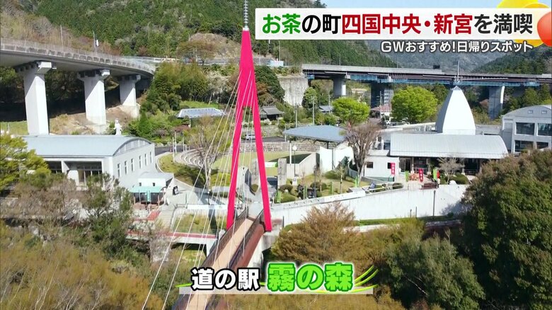 四国でも有数のお茶の産地・愛媛県四国中央市の新宮でお茶の魅力を堪能　穴場のパワースポットも！【愛媛発】｜FNNプライムオンライン