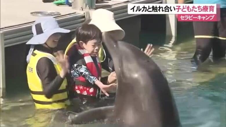 本部町のもとぶ元気村のイルカセラピーキャンプ　イルカと触れ合い療育｜FNNプライムオンライン
