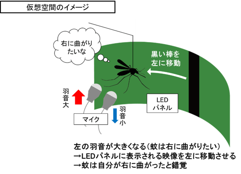 蚊の観察に特化した仮想空間を理研とともに構築