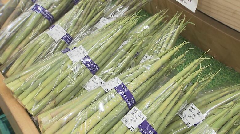 「今が一番安い」初夏の味“ネマガリダケ”早くもピーク　直売所にぎわう　サバ缶と味わう「タケノコ汁」に、変わり種のカレーも　暖かさと少雪で例年より3週間早く｜FNNプライムオンライン