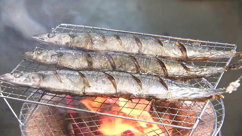 「サンマ買いません」豊漁で安価だったサンマが高騰…9月下旬から水揚げ低調でサイズも小ぶりに　冷凍物に変更する飲食店も｜FNNプライムオンライン