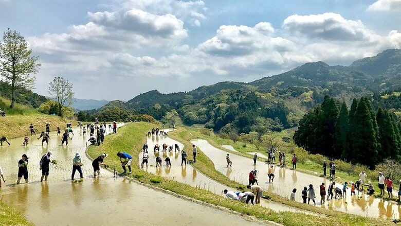 人口減少で生物多様性が損失する可能性も明らかに