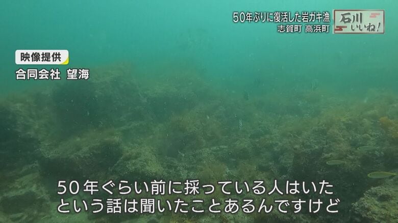 志賀町のヨコタ礁(*映像提供「合同会社望海」)