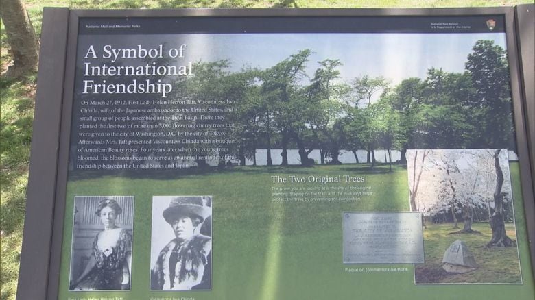 ポトマック公園には桜が日米の友好の証であることを記載した案内板が設置されている