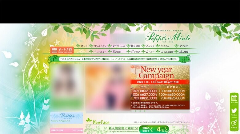 被害女性が働かされたソープランドも摘発された(HPより)