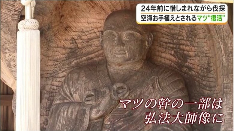 幹の一部で彫られた弘法大師像