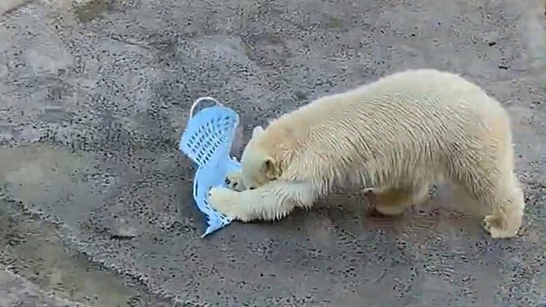 ゆめちゃんの雑巾がけ（その1）洗濯カゴを押して地面をズリズリ