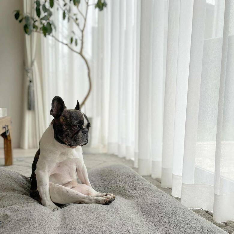 提供：丸男さん