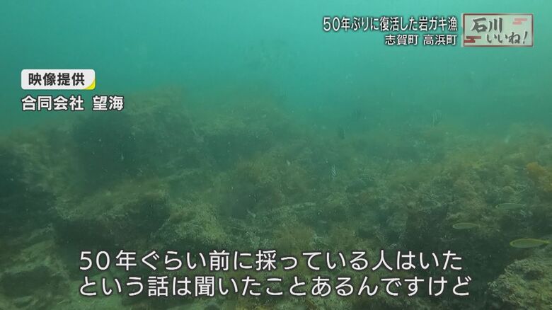 志賀町のヨコタ礁（＊映像提供「合同会社望海」）
