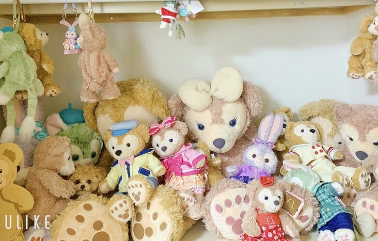 どこにふわちゃんがいるのか分かるかな？