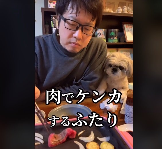 飼い主さんのお肉が欲しい！と抗議するてんぽくん